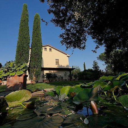 Agriturismo Le Vallette Bibbona Eksteriør billede