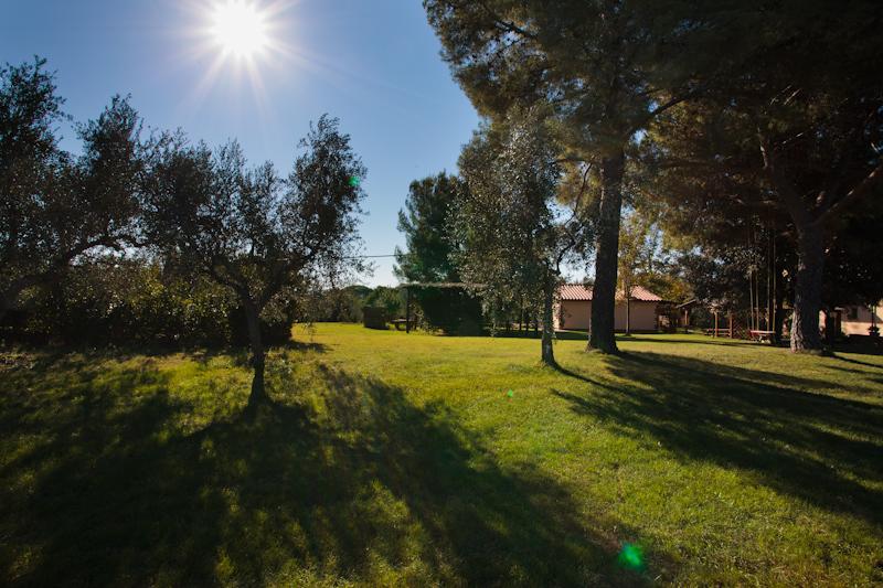 Agriturismo Le Vallette Bibbona Eksteriør billede