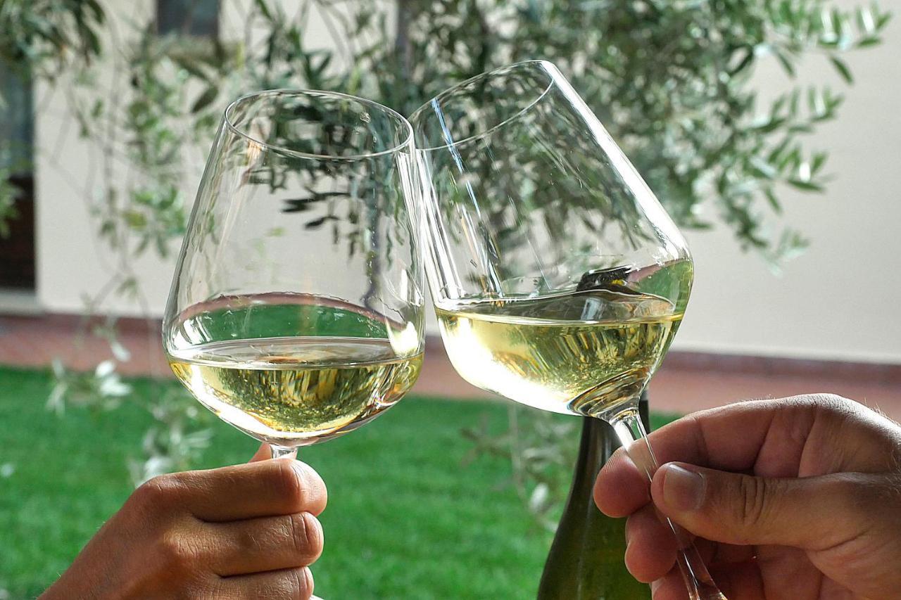 Agriturismo Le Vallette Bibbona Eksteriør billede
